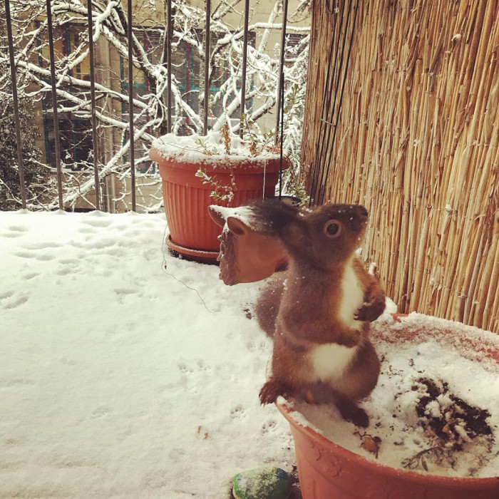 Foto 05.01.2019