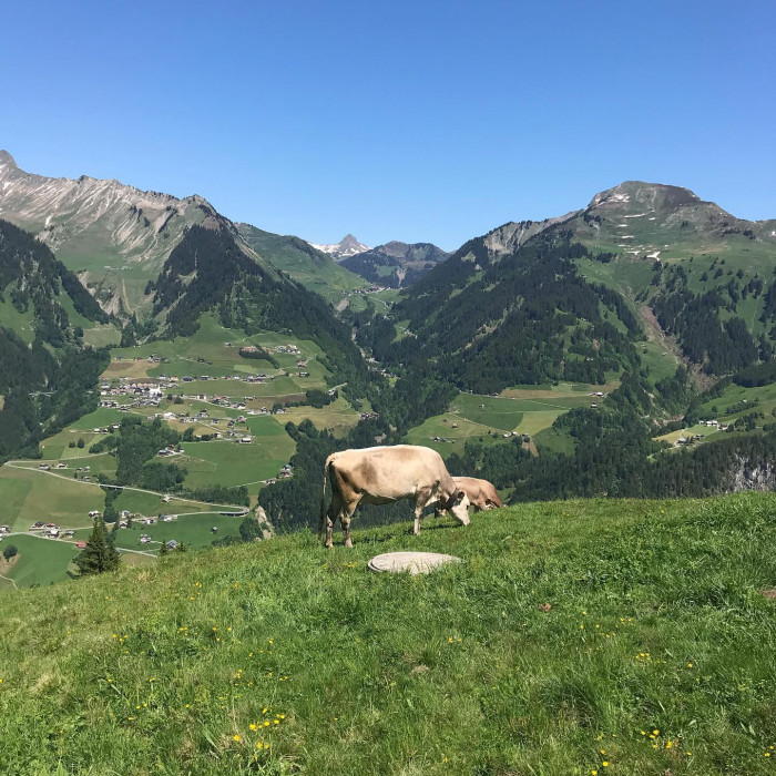 Die erste Wanderung im gro&szlig;en Walsertal. Es gibt noch bisschen Restschnee und weil die K&uuml;che eine Be