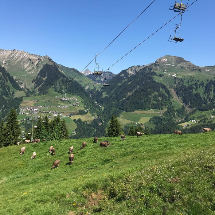 Die erste Wanderung im gro&szlig;en Walsertal. Es gibt noch bisschen Restschnee und weil die K&uuml;che eine Be