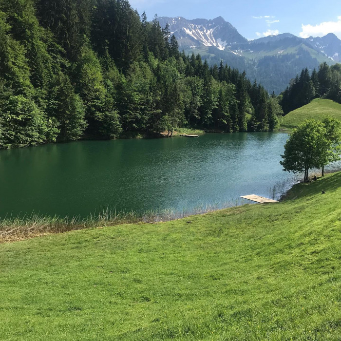Jedes Jahr ein Zeitlupevideo, wie der @abspannsitzenbleiber  in ein Gew&auml;sser springt. Dieses mal in