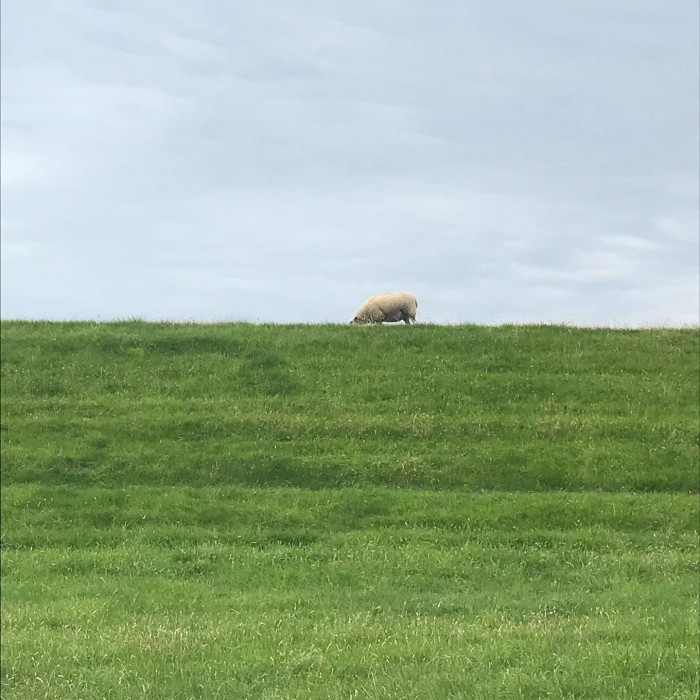 Tag 1: Von Hamburg nach Gl&uuml;ckstadt.
