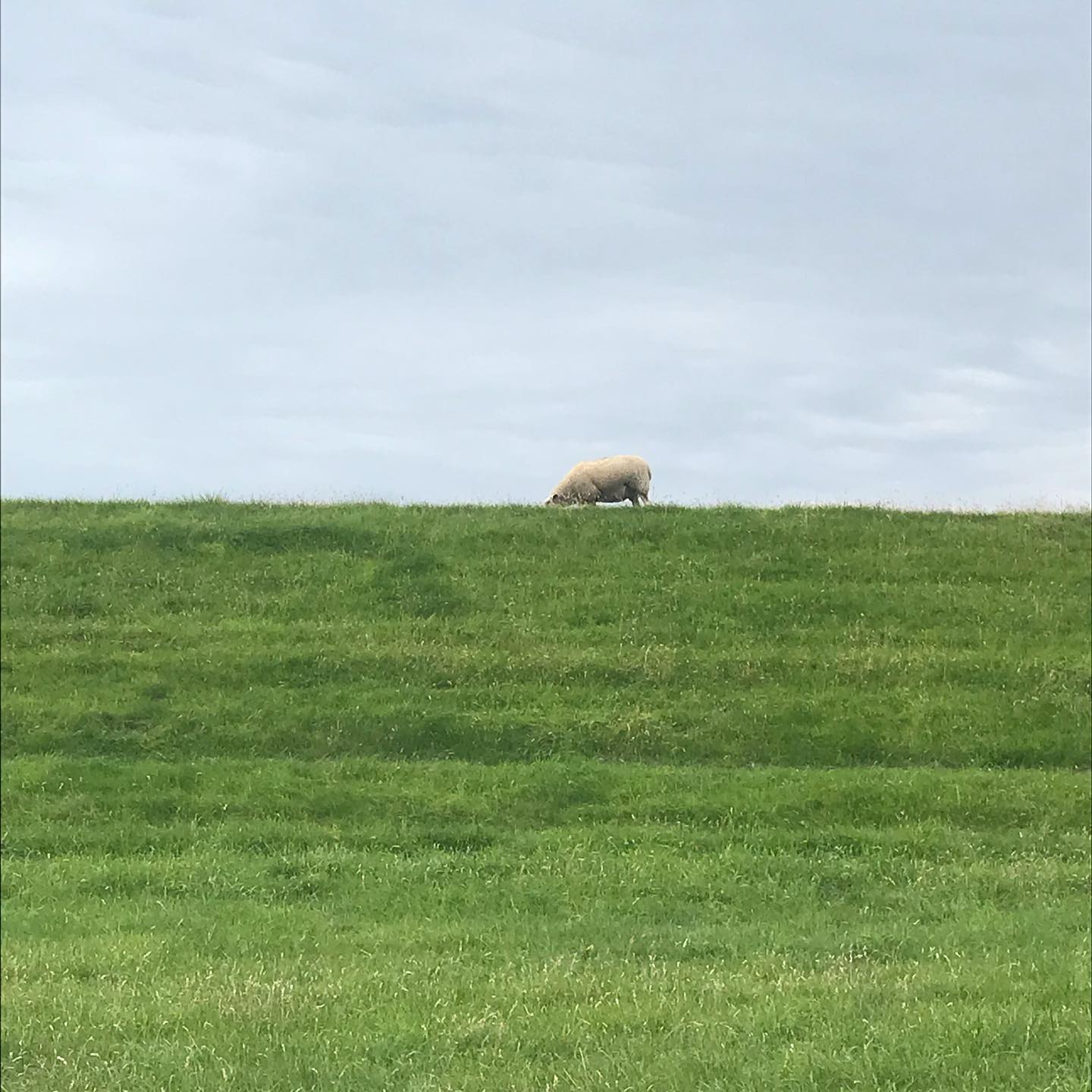 Tag 1: Von Hamburg nach Gl&uuml;ckstadt.