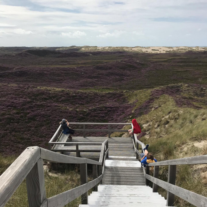 Tag 11 und 12: Nach F&ouml;hr kommt Sylt. Mit dem Zug geht es von Dageb&uuml;ll nach Westerland auf Sylt. Nach