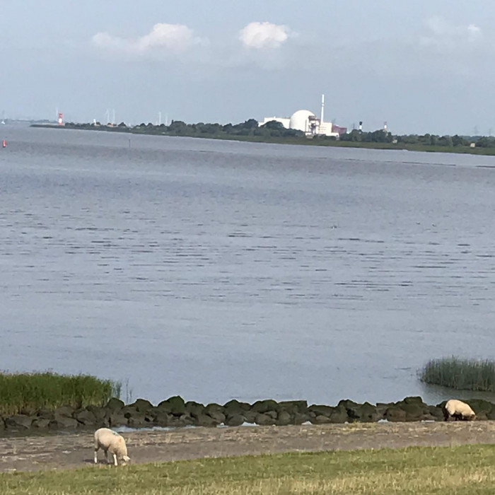 Tag 2: Es geht von Gl&uuml;ckstadt nach Brunsb&uuml;ttel.  Gleich von Gl&uuml;ckstadt aus hat man schon perfekten F