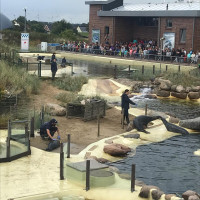 Tag 3: Brunsb&uuml;ttel nach Friedrichskoog.