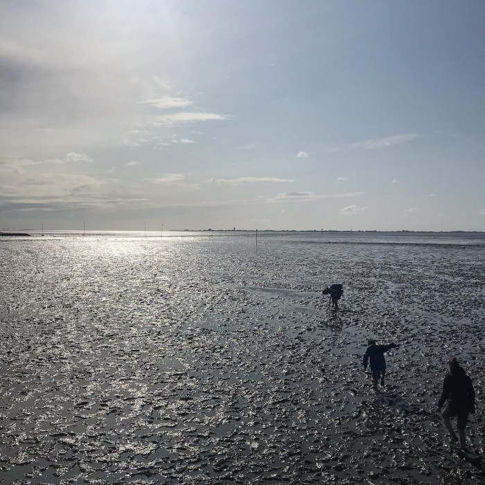 Tag 8: Fahrradfreier Tag in Husum.