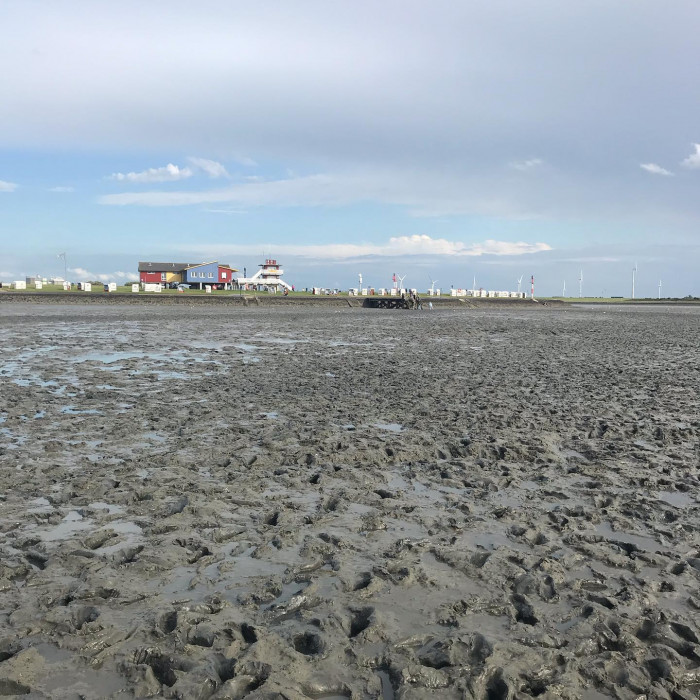 Tag 8: Fahrradfreier Tag in Husum.