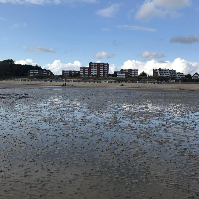 Tag 9: Von Husum nach Wyk auf F&ouml;hr. Husum unter Dauerregen.  Der Zug bringt unsere R&auml;der zur F&ouml;hre n