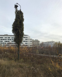 Auf dem Weg zur Arbeit ist mir zwischen den S-Bahnhaltestellen Leuchtenbergring und Berg am Laim neb