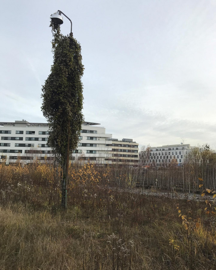 Auf dem Weg zur Arbeit ist mir zwischen den S-Bahnhaltestellen Leuchtenbergring und Berg am Laim neb