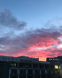Moin M&uuml;nchen