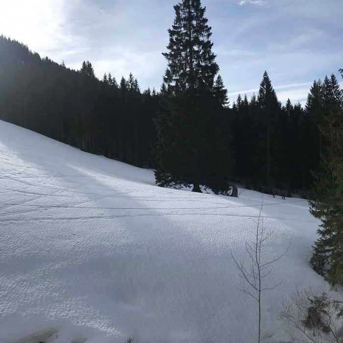 Mit BOB und Bus bis Spitzingsee. Dann Richtung Rotwandhaus. Der Schlittenweg ist leider wegen Lawine