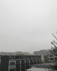 Moin M&uuml;nchen (Wetter supported ebenfalls die Ausgangsbeschr&auml;nkungen)