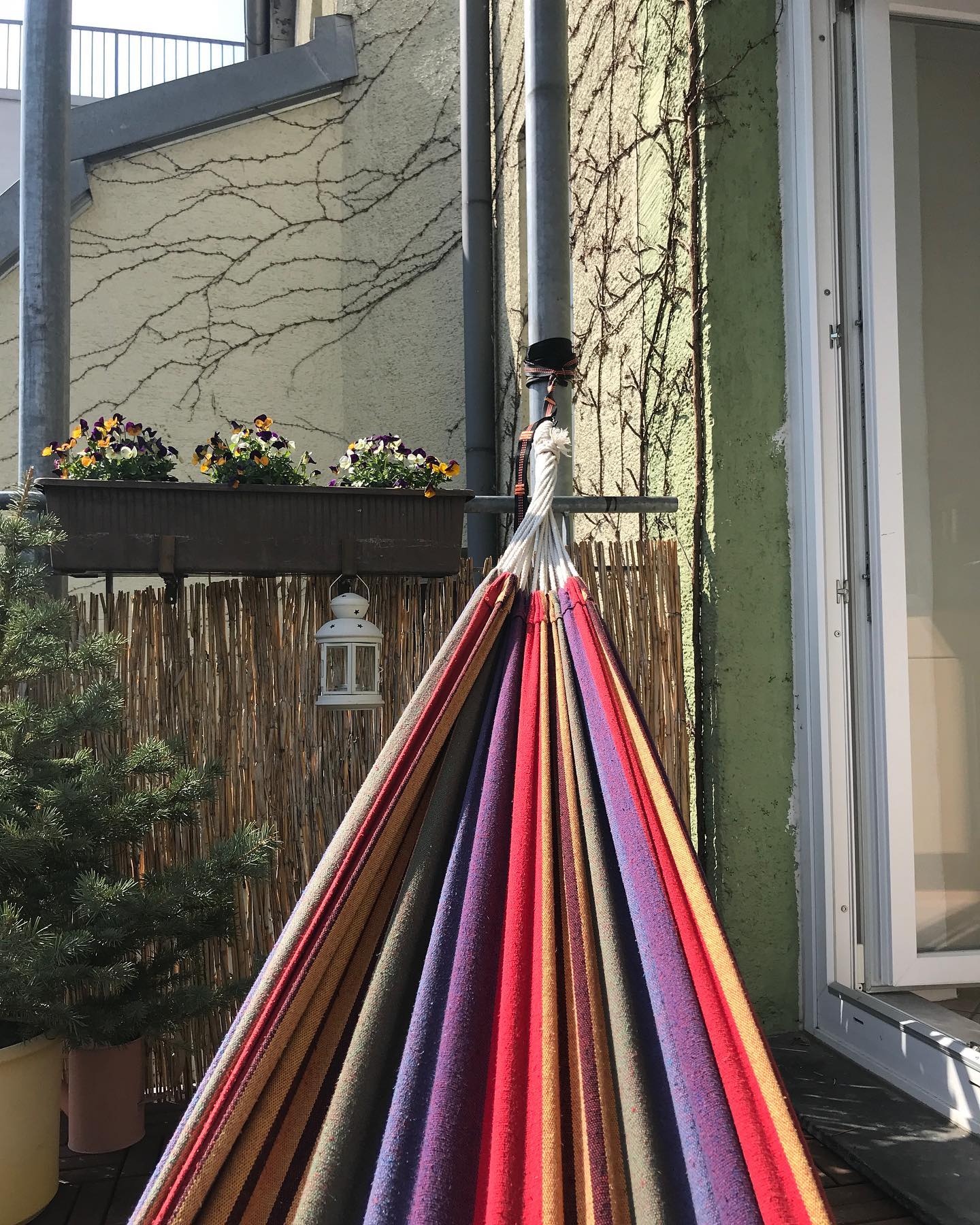 Homeschooling. Das letzte Fach vor den Osterferien ist H&auml;nge-Mathe. Glatte 1.