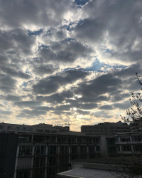 Moin M&uuml;nchen