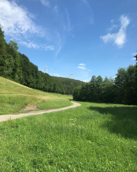 🏃&zwj;♀️