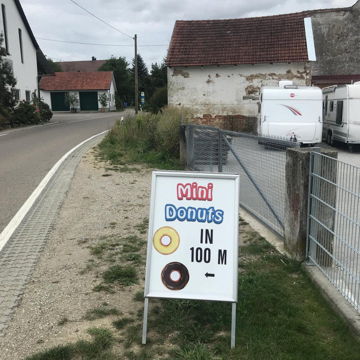 Fr&uuml;h am Morgen guckt noch kurz die Sonne durch. Aber die Sonnenblumen und das Rotwild lassen schon d