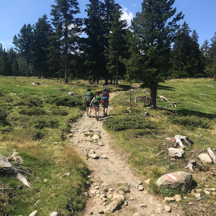 Mit der Gondel fahren wir von der Talstation in Lana nach oben. Das eigentliche Highlight ist dann a