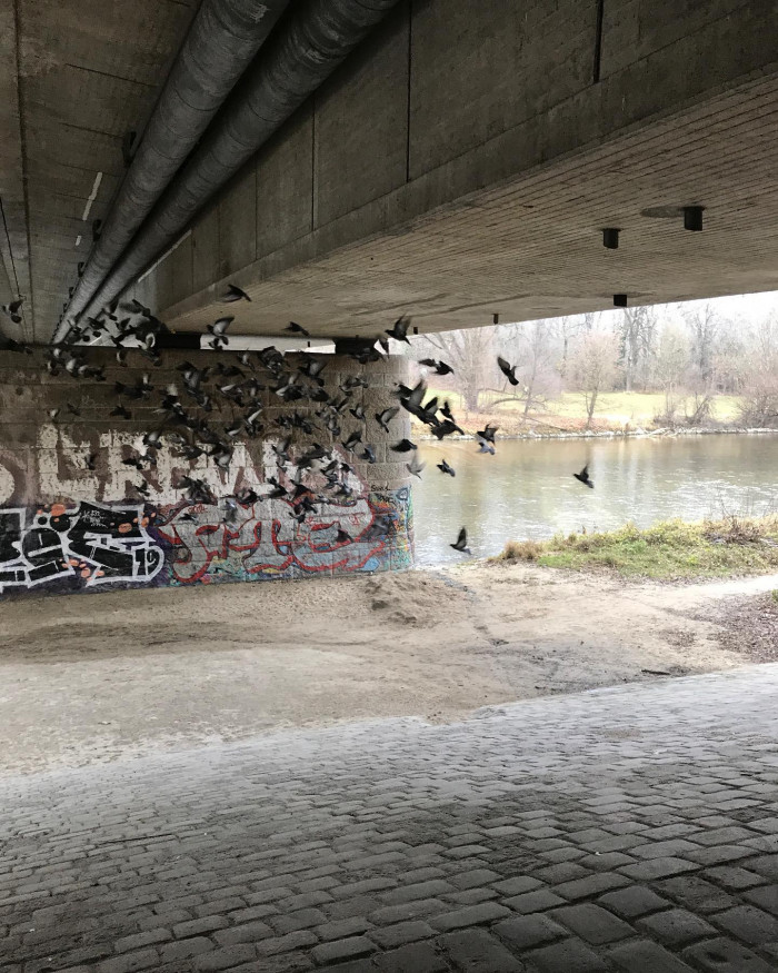 Moin M&uuml;nchen