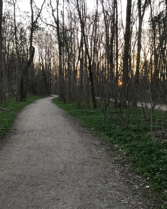 Moin M&uuml;nchen