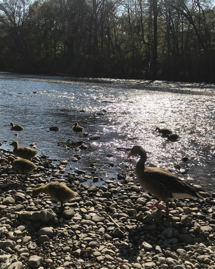 Familienausflug