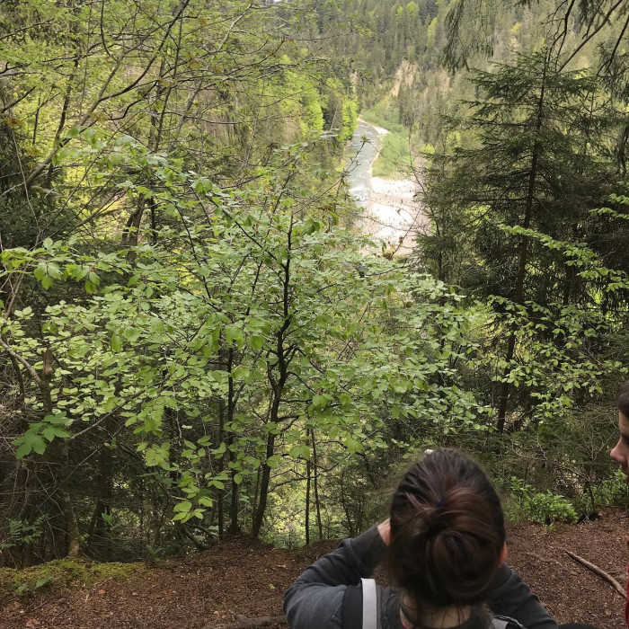 Es geht durch die Ammerschlucht &uuml;ber die Schleierf&auml;lle zur Soyerm&uuml;hle und auf der anderen Flussseite