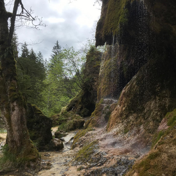 Es geht durch die Ammerschlucht &uuml;ber die Schleierf&auml;lle zur Soyerm&uuml;hle und auf der anderen Flussseite