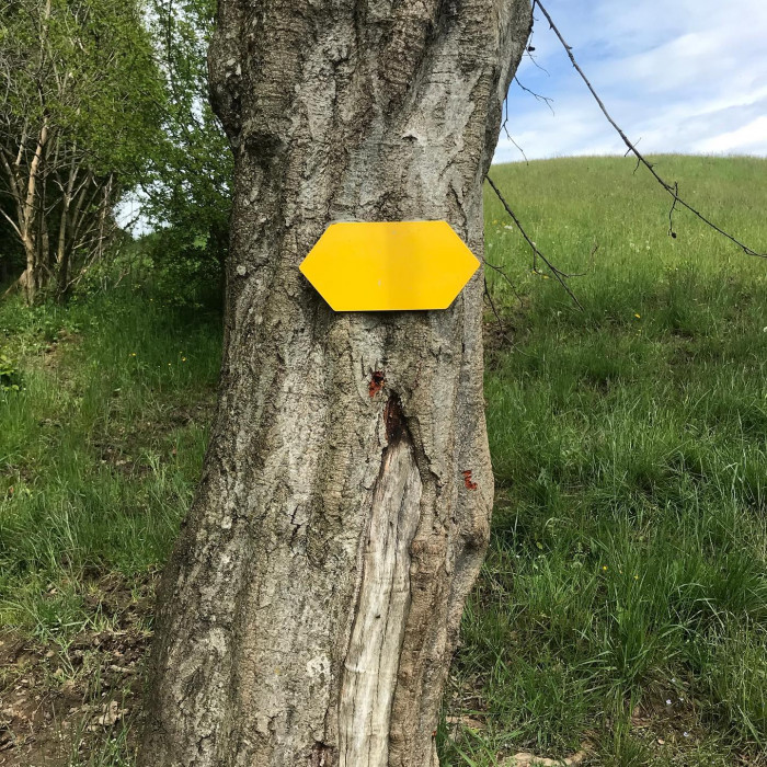 Es geht durch die Ammerschlucht &uuml;ber die Schleierf&auml;lle zur Soyerm&uuml;hle und auf der anderen Flussseite