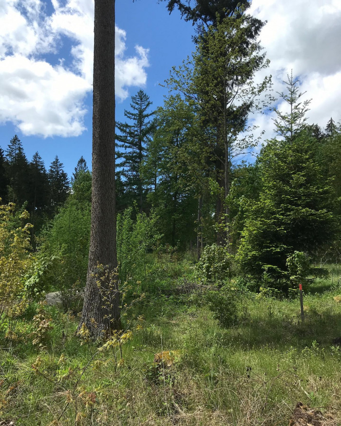Kurz vor Freising ist der Weltwald. So ein Waldlehrpfad extended. Man l&auml;uft durch &bdquo;Asien&ldquo;, &bdquo;Europa&ldquo;