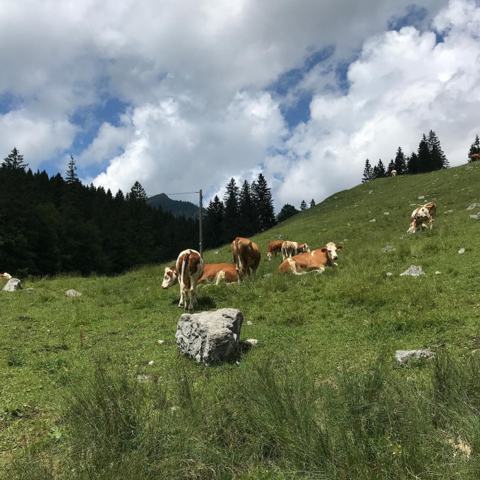 Mit der S-Bahn nach Holzkirchen. Dann Schliersee, Spitzingsee und Tegernsee. Voll sch&ouml;ne Runde.