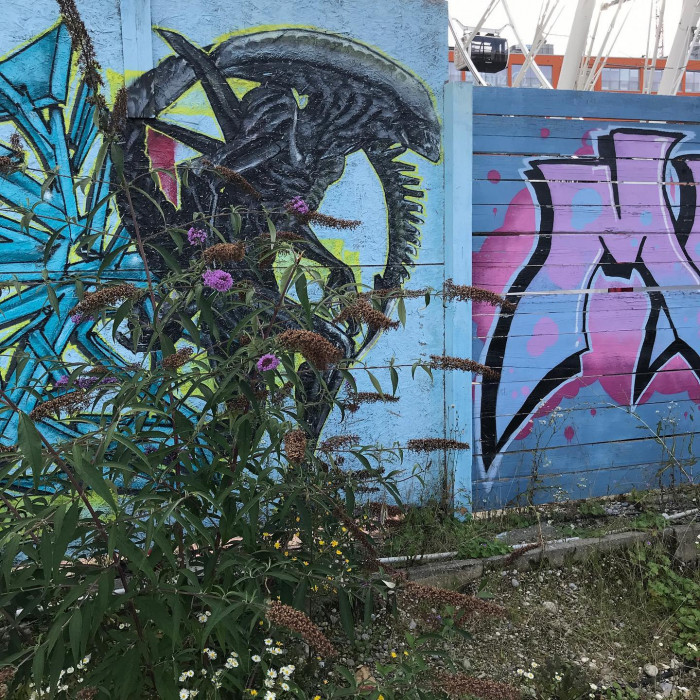 Runde durchs @werksviertelmitte