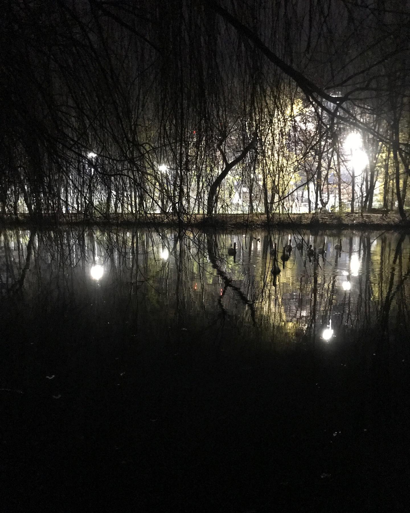 M&uuml;nchen. Flutlicht von gegen&uuml;ber strahlt. Lautes Kindergeschrei vom Fussballtraining hallt &uuml;bers Was