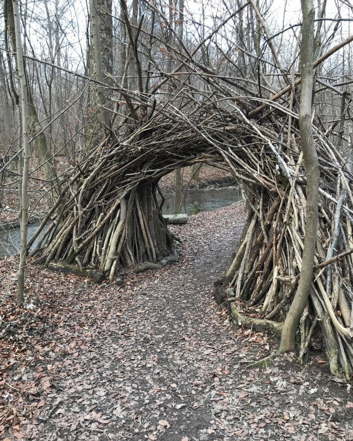 Spaziergang auf die gute Art. Hab einen Baum fotografiert und hab fotografiert, wie @ivoheckmann den