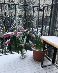 Beweisbild zur Wiedervorlage. Wenn ich n&auml;chstes Jahr im sonnigen M&auml;rz den Kindern wieder sage: &bdquo;Kurz