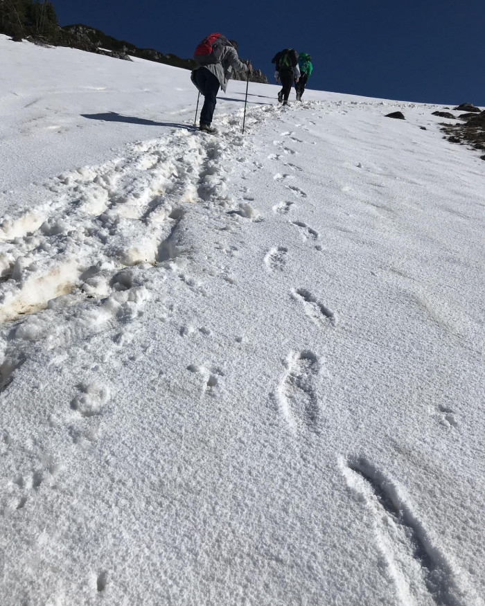 Vom Wanderparkplatz kurz vor Sachrang geht&lsquo;s am Samstag bei Schneefall 700 Meter hoch bis zur Priene