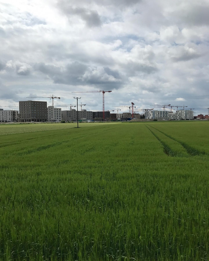 Gr&uuml;ner Felder vor Kr&auml;nen. In Freiham wird gebaut, am Germeringer See l&auml;sst man auf der Beinebaumelba
