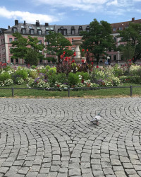 Moin M&uuml;nchen