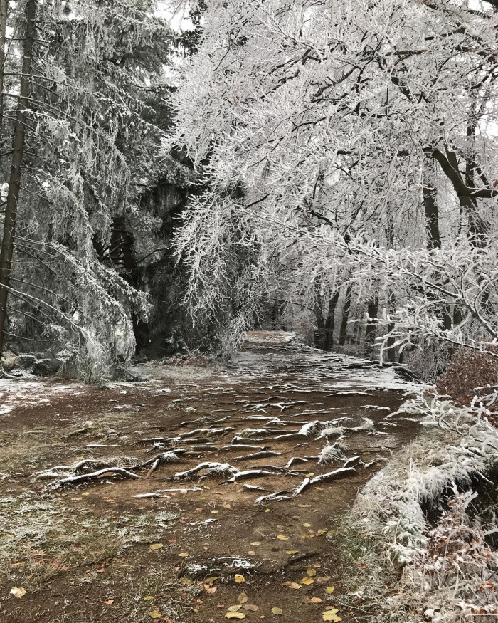 Am Albtrauf entlang.