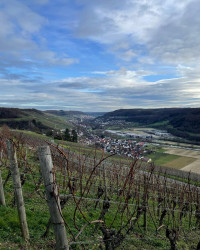 Moin Kochertal