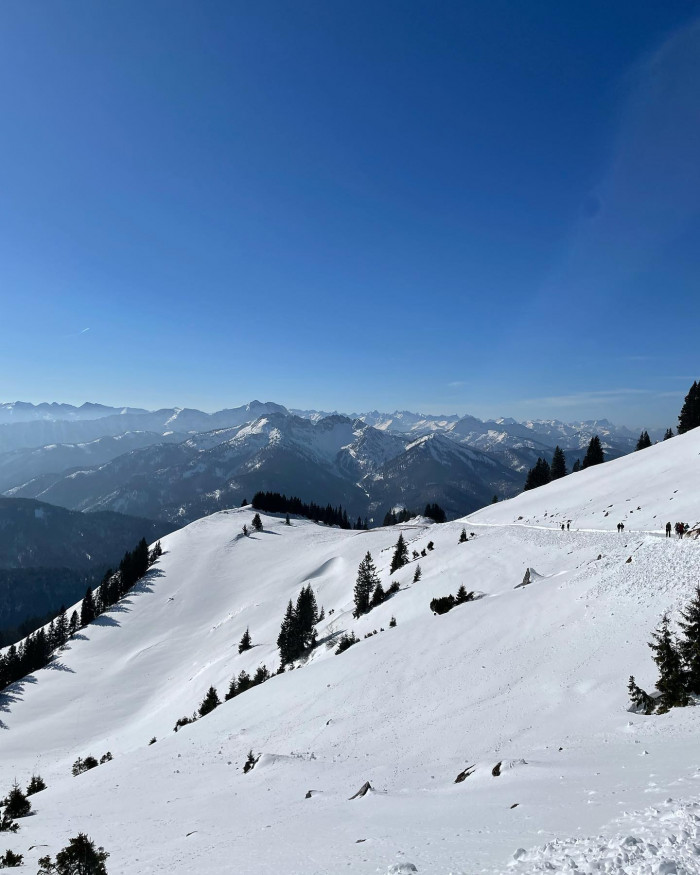 Hi, ich bin die Hauskatze vom Rotwandhaus.
