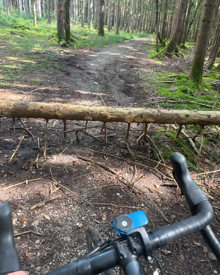 Die Vier-Weiher-Runde