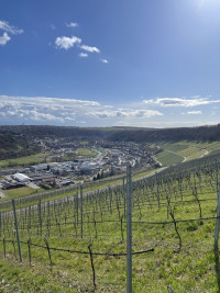 Blick aufs Kochertal