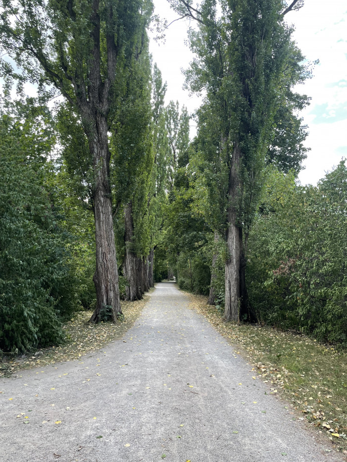 Ostfriedhof