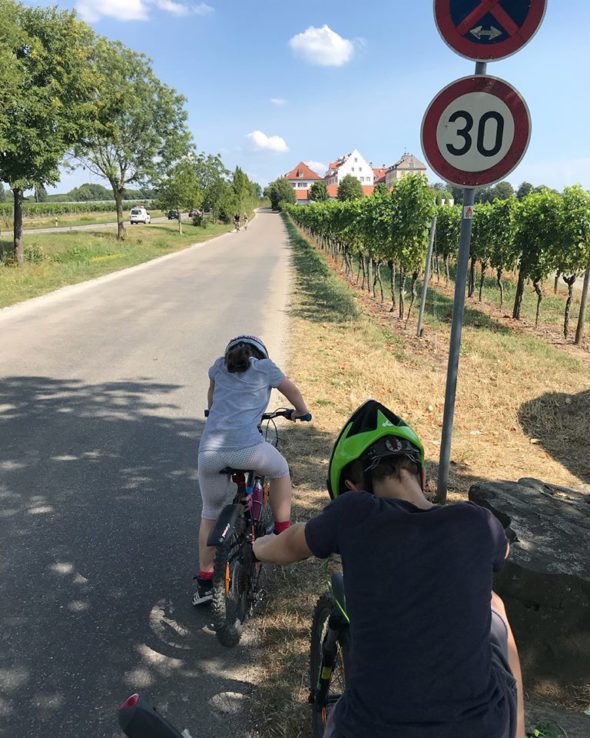 bodensee fahrrad umrunden 1 tag