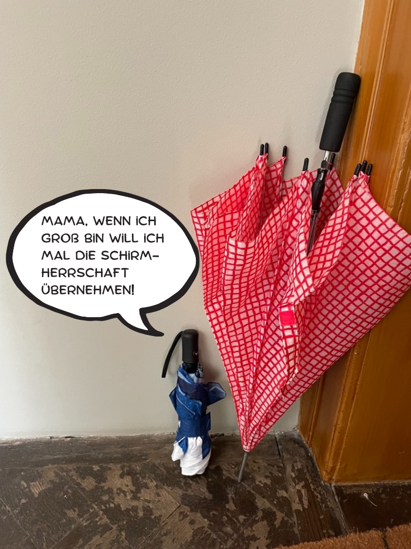 schirmherrschaft.png