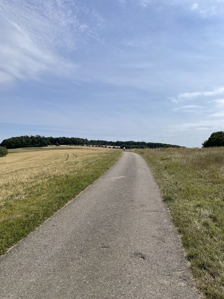 IMG_3337.jpeg