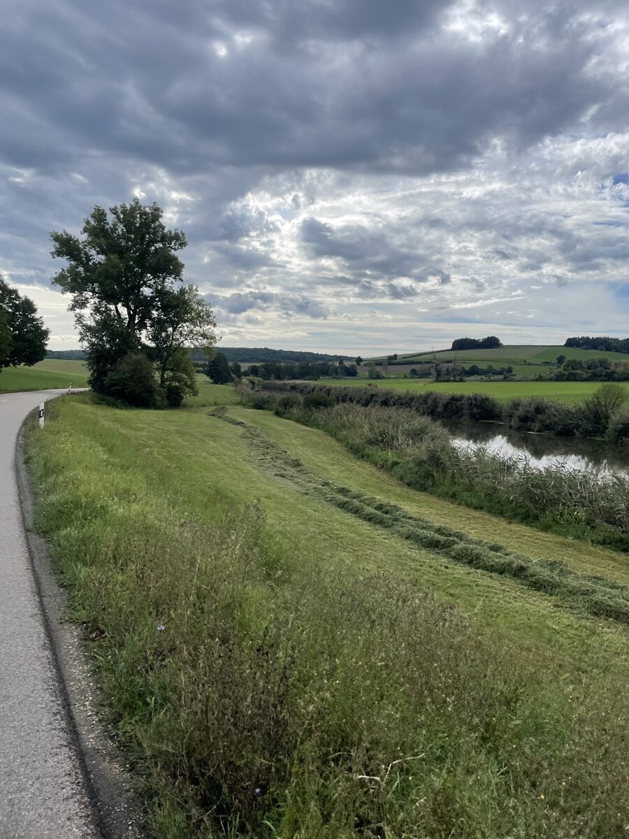 IMG_4259.jpeg